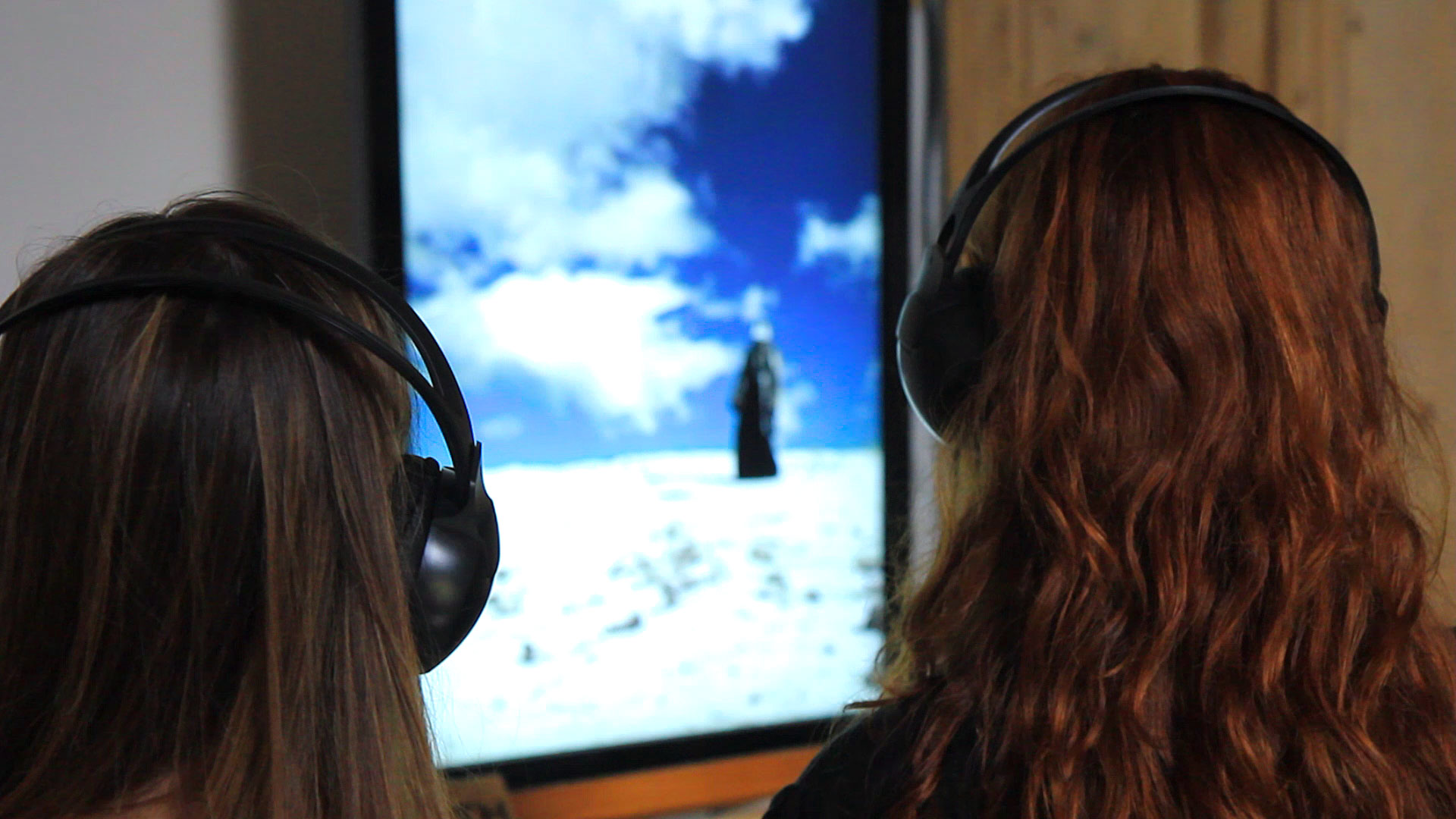 intro audio/video installation - the bird woman myth