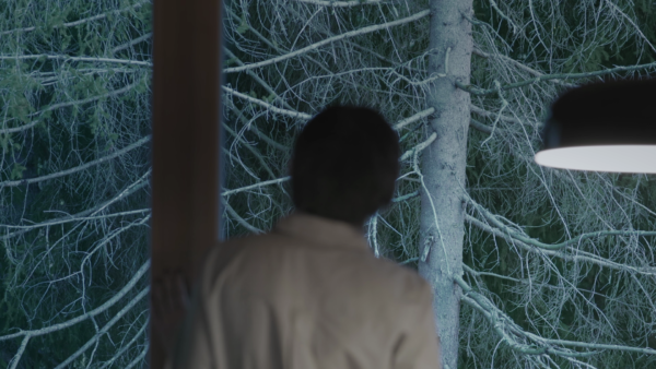 Forests | An Evocation by Mali Weil, film still